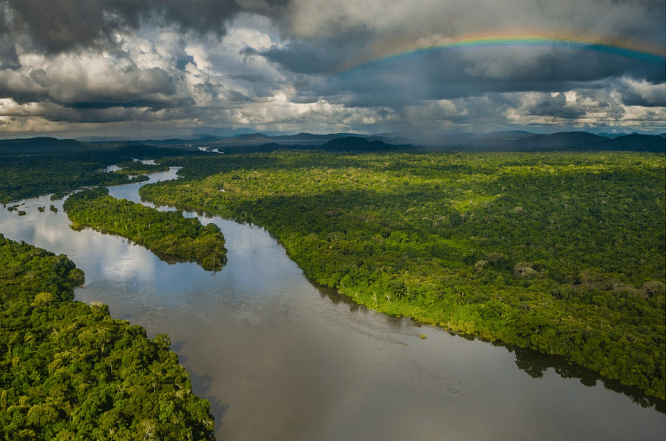 Amazon rainforest and Xingú River, Brazil