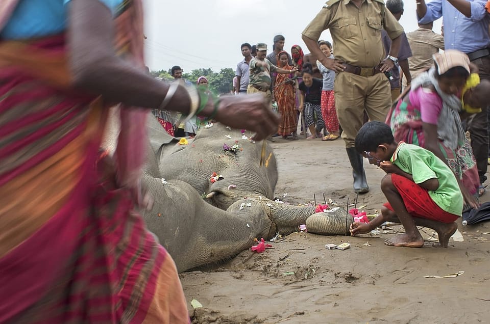 Villagers mourning dead elephant